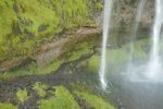 PICTURES/Seljalandsfoss & Gljufrabui Waterfalls/t_Seljalandsfoss8.JPG